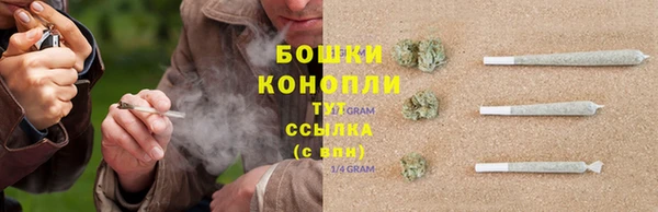дживик Переславль-Залесский