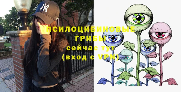 крисы Балахна