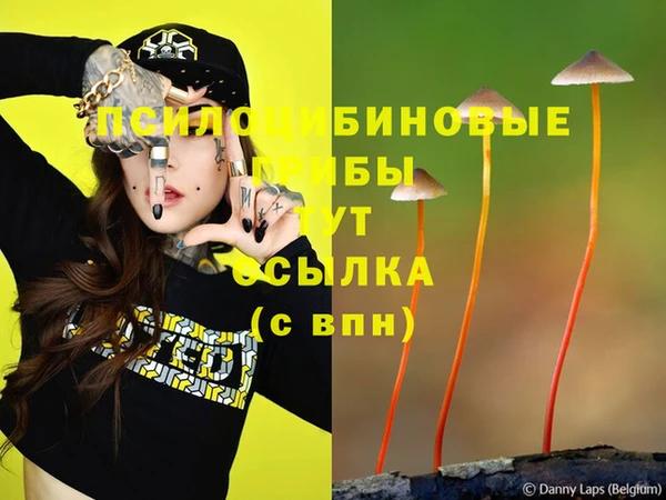 крисы Балахна