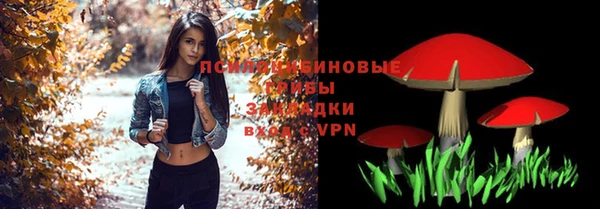 дживик Переславль-Залесский
